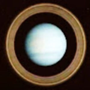 Meet your Posher, Donald